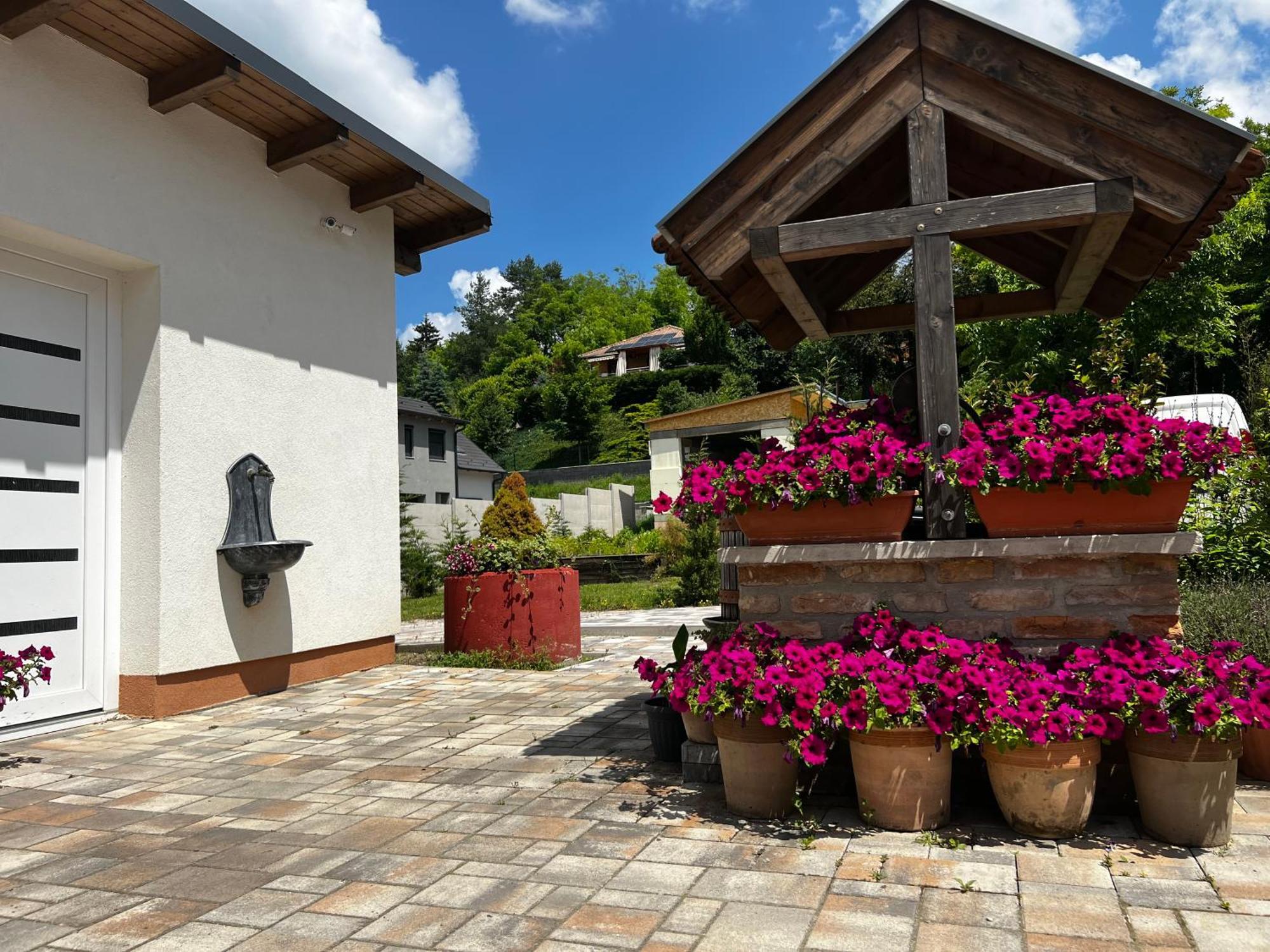Dreko Panzio & Borbisztro Bed & Breakfast Gyorujbarat Ngoại thất bức ảnh