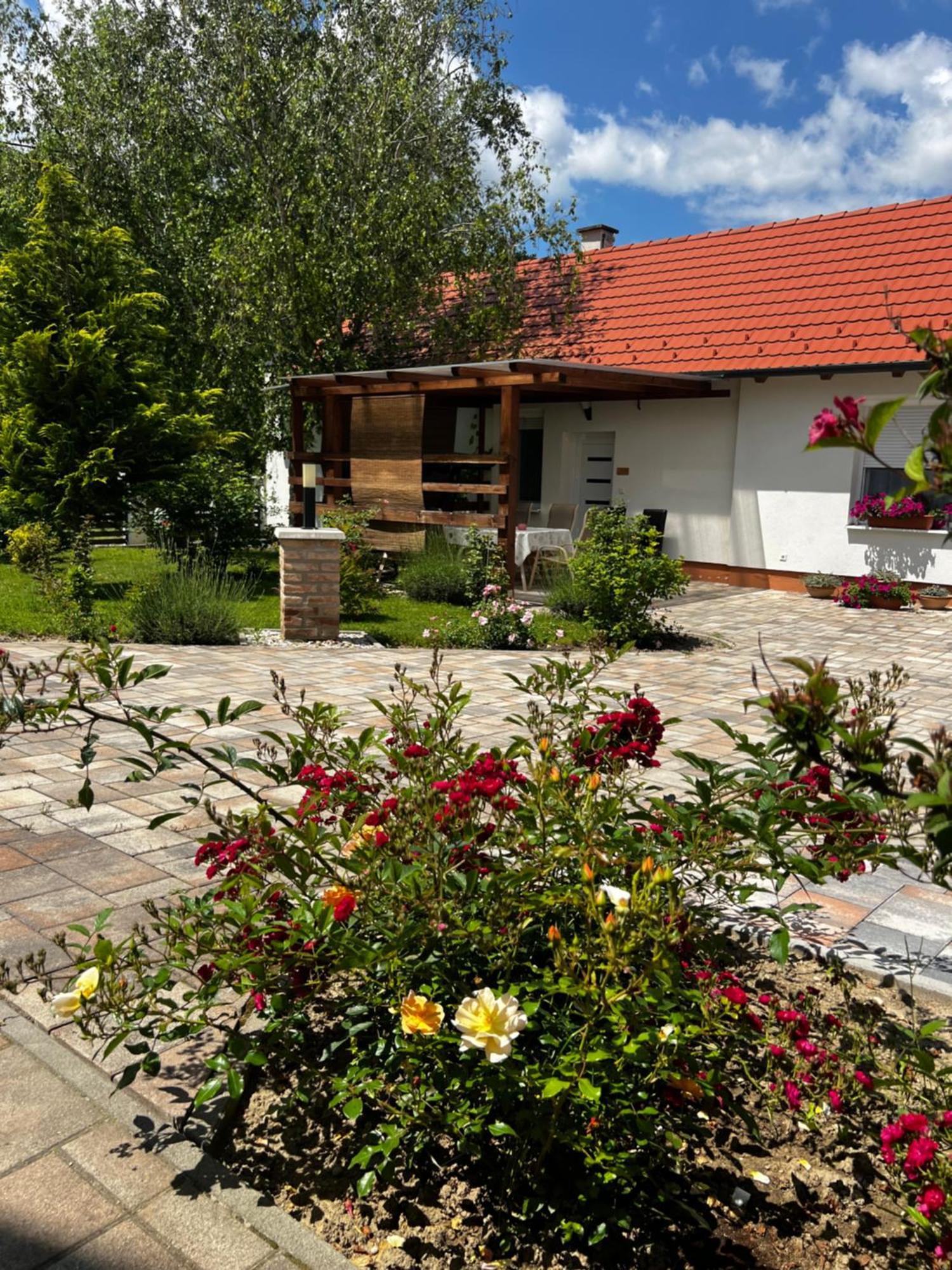 Dreko Panzio & Borbisztro Bed & Breakfast Gyorujbarat Ngoại thất bức ảnh